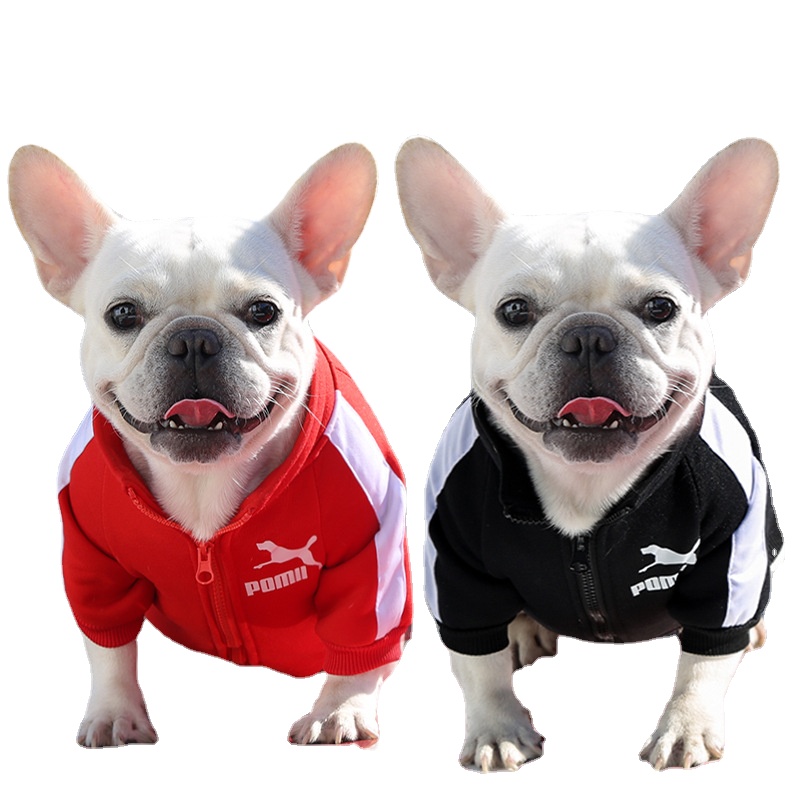 Designer Winter Pet Dog Sweatshirt Clothes for Small Medium Dogs，Warm Fleece Zipper Dog Jacket，Chihuahua French Bulldog Jacket