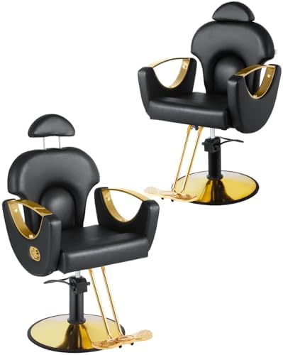 Black Salon Barber Chair, Reclining Salon chair for Hair Stylist for Home, Barber Chair with Hydraulic Pump, 360° Swivel, Beauty Hairdresser Chair Equipment for Spa, Tattoo, and Shampoo, 2 Packs