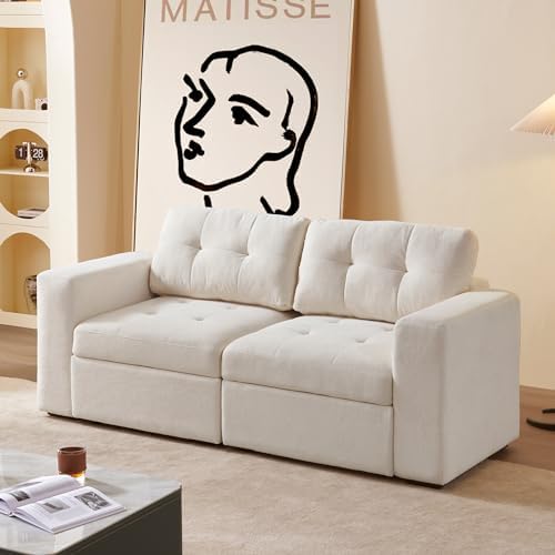 ORRD Modular Tufted Loveseat Sofa Couch with Storage Seats 2 Seater Love Seats for Small Spaces